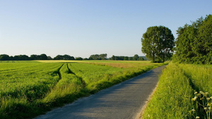 nature-images-hd-20