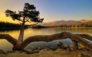 nature-new-amazing