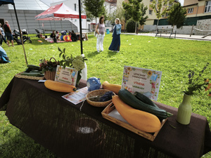 IMG_20260723_153439